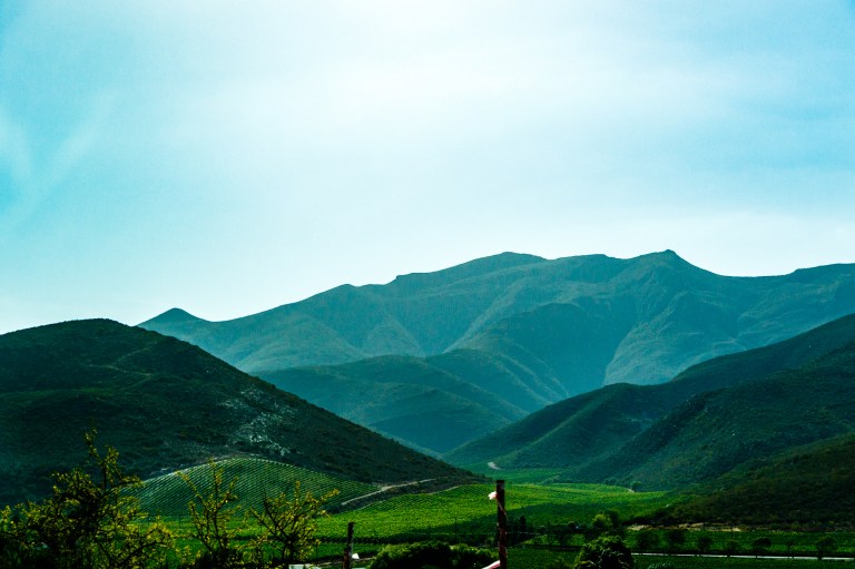 SA18 (108 of 255).jpg