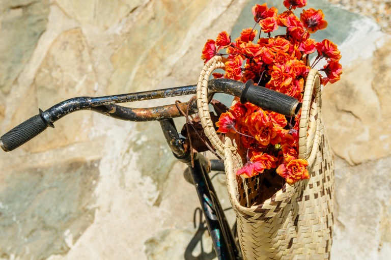 SA18 (138 of 255).jpg