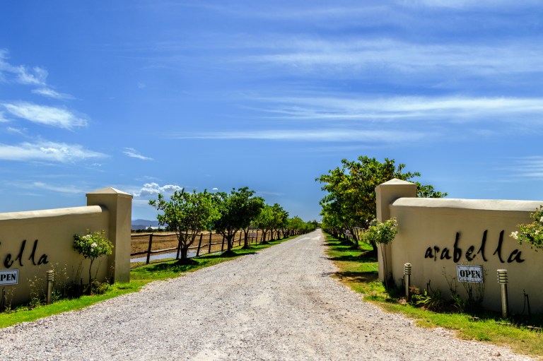 SA18 (94 of 255).jpg