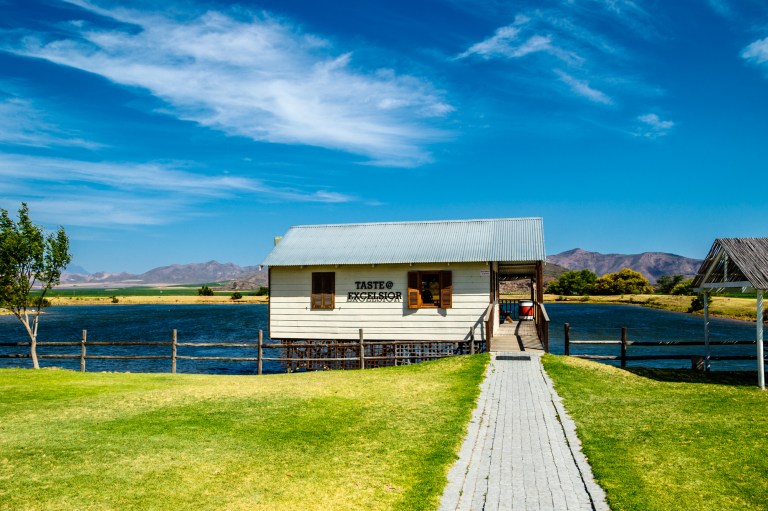 SA18 (98 of 255).jpg